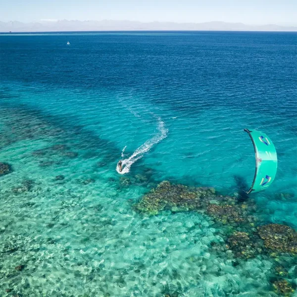 Aile de kitesurf duotone evo sls 2026