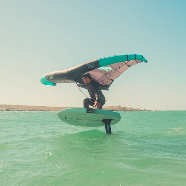 Aile de Wing Foil F-ONE ORIGIN V1 Onyx / Glacier