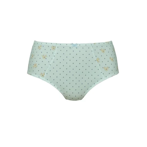 Anita Belvedere bleu/print haut slip