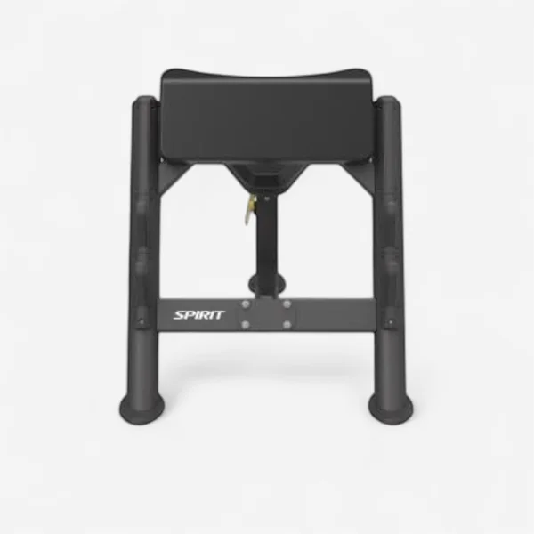 Banc de musculation Spirit - Banc à biceps