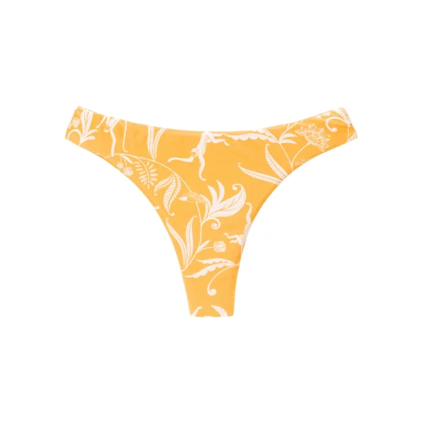 Bottom Sunny-Forest Nice-Fio