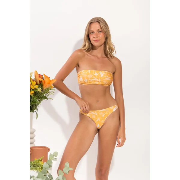 Bottom Sunny-Forest Nice-Fio