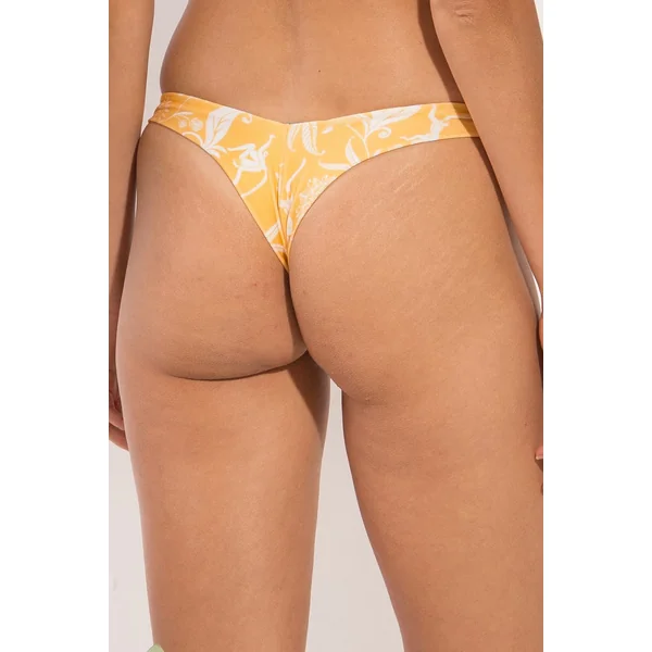 Bottom Sunny-Forest Nice-Fio