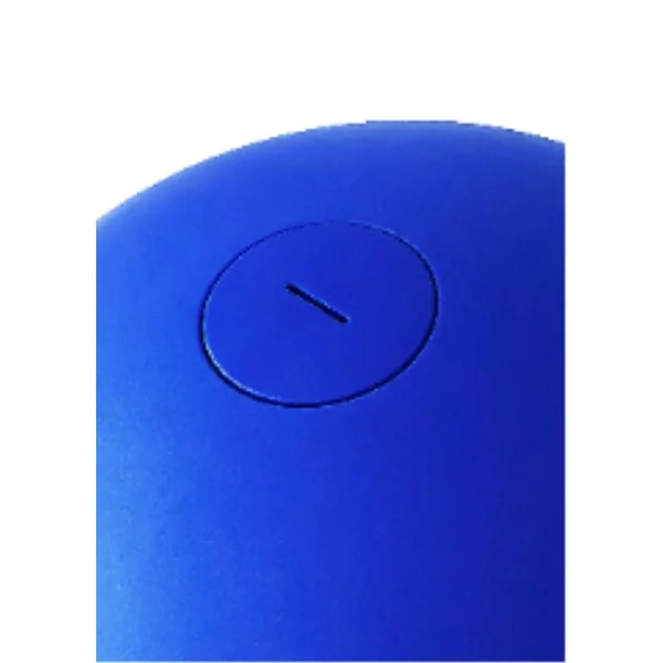 Boule d'équilibre 10-16kg - bleu