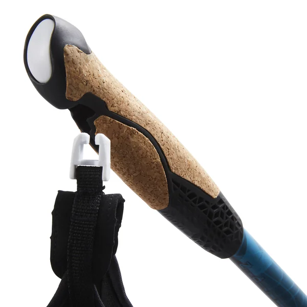 BTONS DE MARCHE NORDIQUE ACIER CARBONE NW P700 TURQUOISE