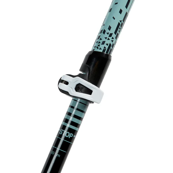 BTONS DE MARCHE NORDIQUE TÉLÉSCOPIQUE ALUMINIUM NW P120 NOIR / VERT DE GRIS