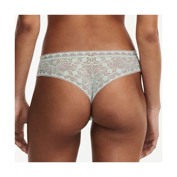 Chantelle Day to Night vert slip