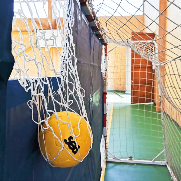 Cible de handball de précision - Sportifrance