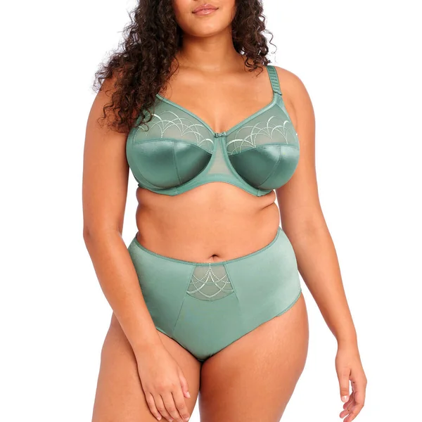 Culotte taille haute