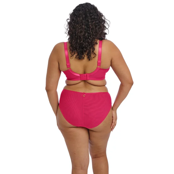 Culotte taille haute détails en dentelle rose Elomi