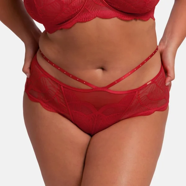 Culotte taille haute