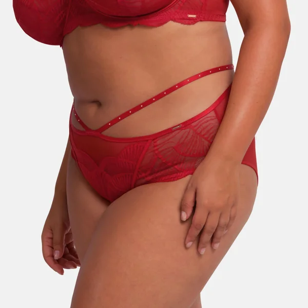 Culotte taille haute