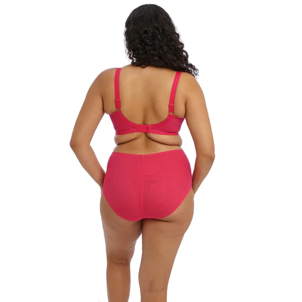 Culotte Taille Haute