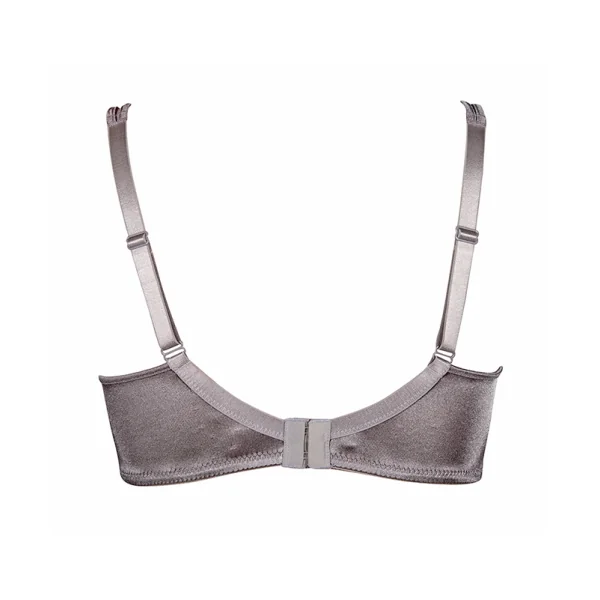 Elbrina Valerie gris/argent soutien-gorge rembourré