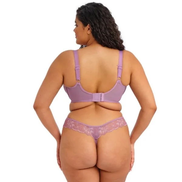Elomi Brianna lilas culotte string