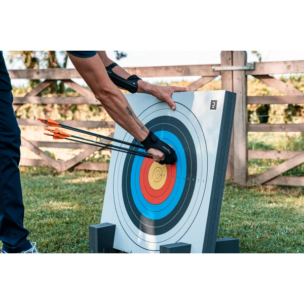 Fleches discovery 300 x3 carbone