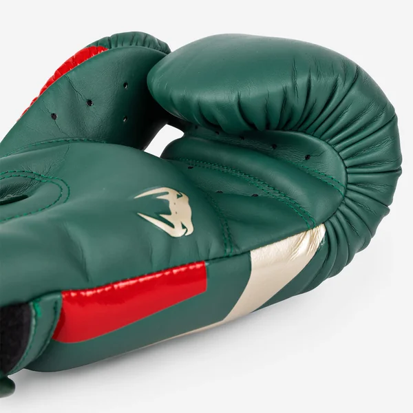 Gants de boxe adulte Elite, vert