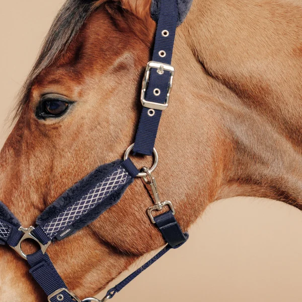 Licol équitation Cheval - Confort Bleu noir