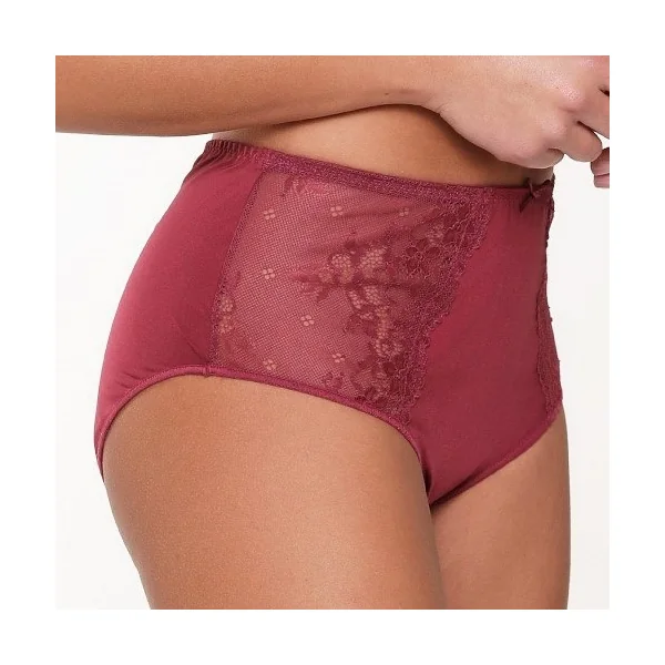 LingaDore Quotidien Maxi Slip port haut slip