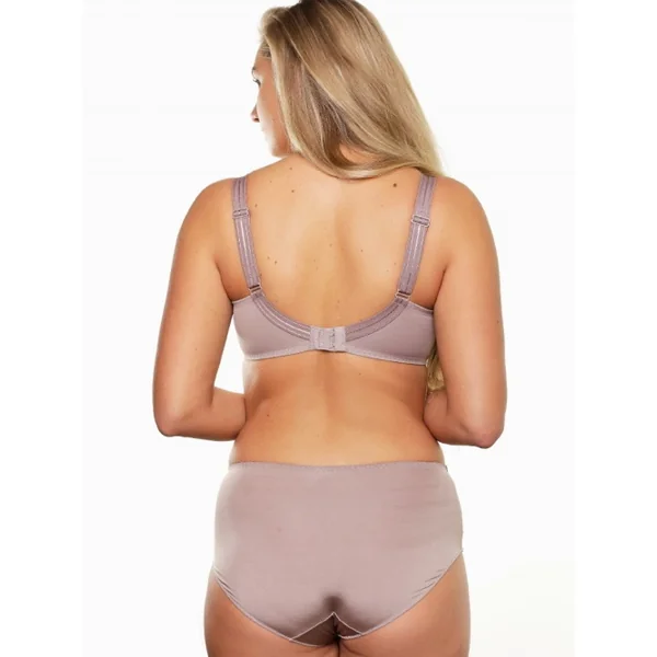 LingaDore Quotidien Maxi Slip taupe haut slip
