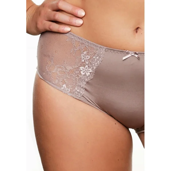 LingaDore Quotidien Maxi Slip taupe haut slip