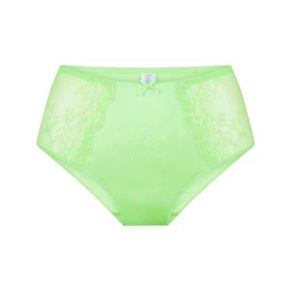 LingaDore Quotidien Maxi Slip vert haut slip