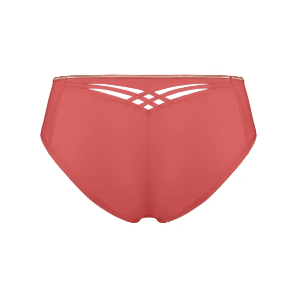 Marlies Dekkers Dame de Paris rose with gold shortie