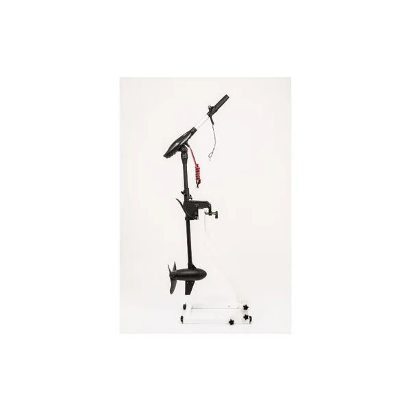 MOTEUR HASWING PROTRUAR-G 3.0 110 LBS