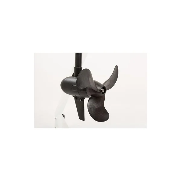 MOTEUR HASWING PROTRUAR-G 3.0 110 LBS