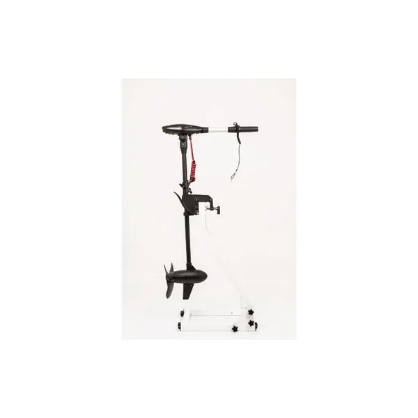 MOTEUR HASWING PROTRUAR-G 3.0 110 LBS
