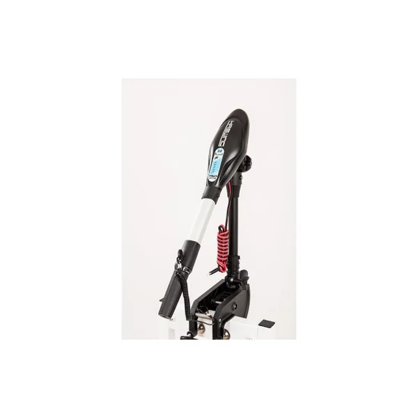 MOTEUR HASWING PROTRUAR-G 3.0 110 LBS
