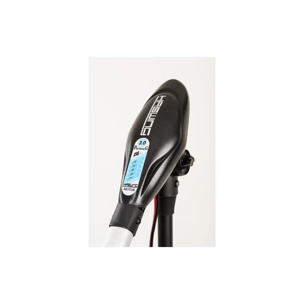 MOTEUR HASWING PROTRUAR-G 3.0 110 LBS