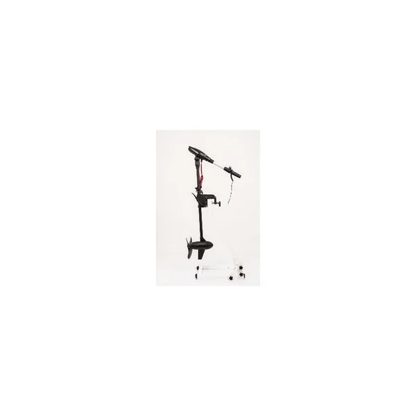 MOTEUR HASWING PROTRUAR-G 3.0 110 LBS