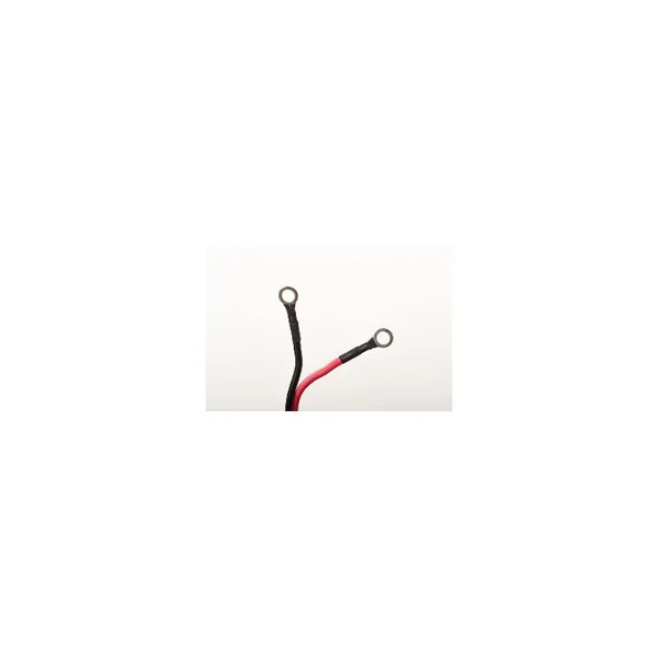 MOTEUR HASWING PROTRUAR-G 3.0 110 LBS