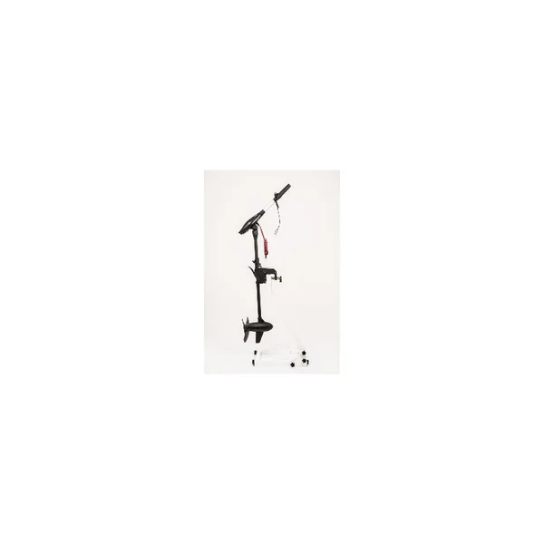 MOTEUR HASWING PROTRUAR-G 3.0 110 LBS
