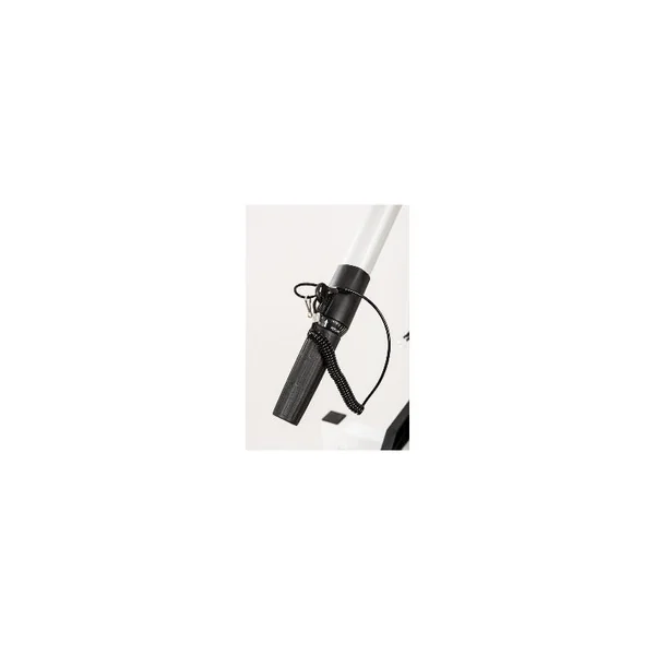 MOTEUR HASWING PROTRUAR-G 3.0 110 LBS