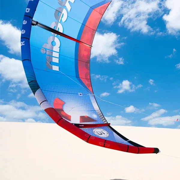 OCCASION - Aile de kitesurf reedin X brainchild - 9.0M