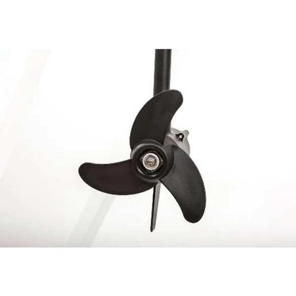 Pack moteur électrique hors-bord PROTRUAR 1.0 65 LBS HASWING + Batterie décharge lent DUAL 110 Ah