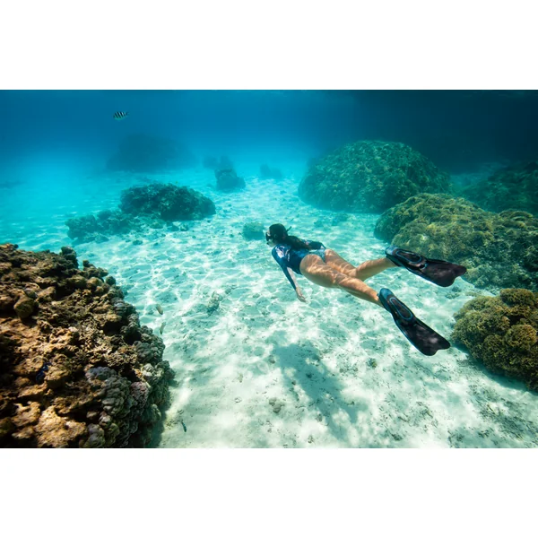 Palmes plongée et snorkeling, FF 100 courtes Noires