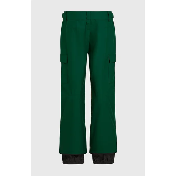 Pantalon de ski FWC'Cruz Cargo | Emerald Envy