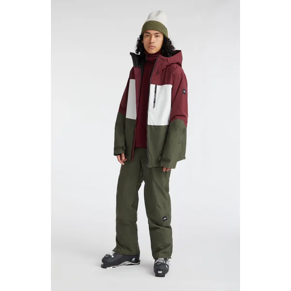 Pantalon de ski Hammer Regular | Forest Night