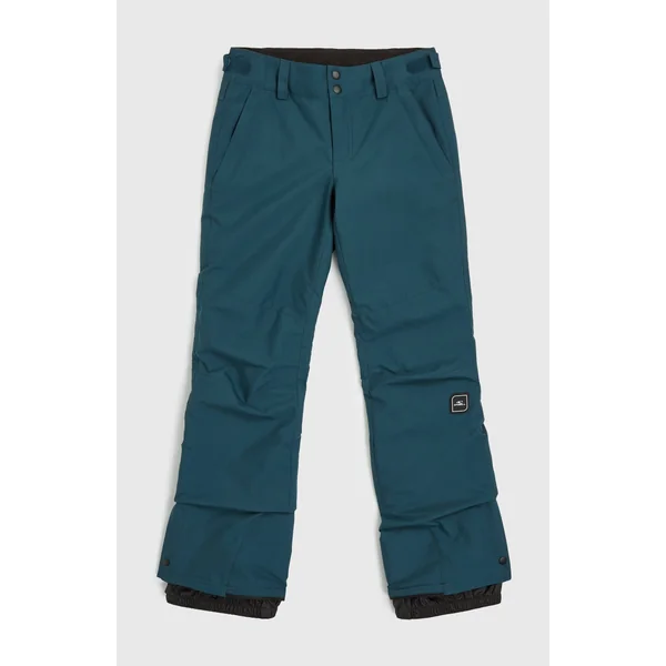 Pantalon de ski Star Regular | Alma Steel