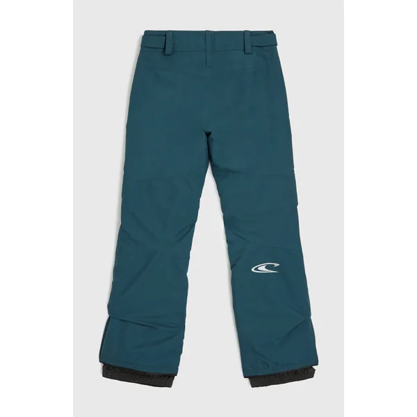 Pantalon de ski Star Regular | Alma Steel