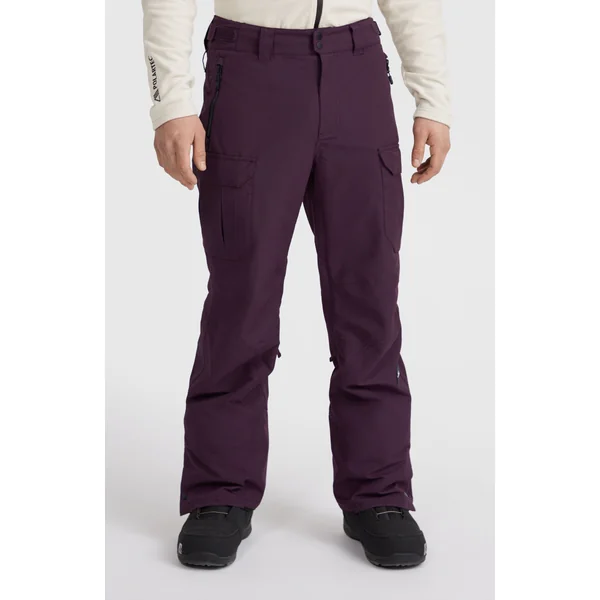 Pantalon de ski Utility Pro Regular | Aubergine