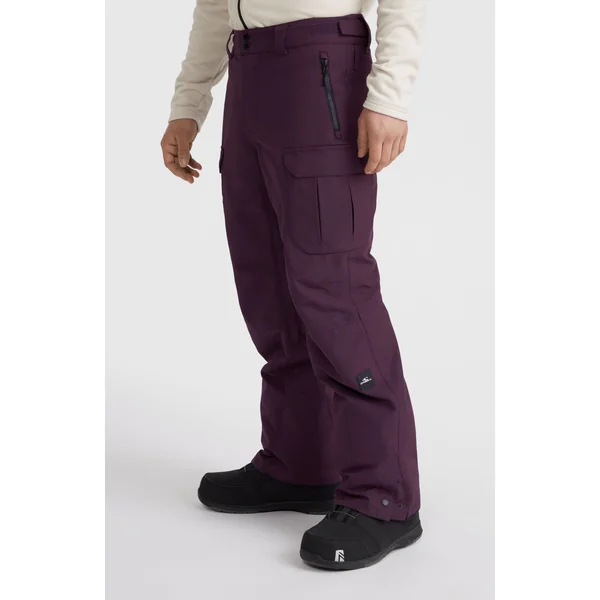 Pantalon de ski Utility Pro Regular | Aubergine