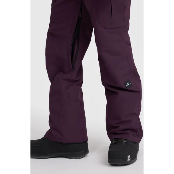 Pantalon de ski Utility Pro Regular | Aubergine
