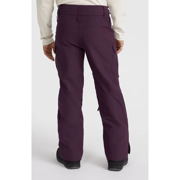 Pantalon de ski Utility Pro Regular | Aubergine