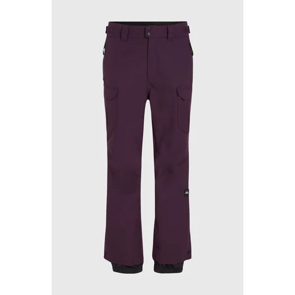 Pantalon de ski Utility Pro Regular | Aubergine