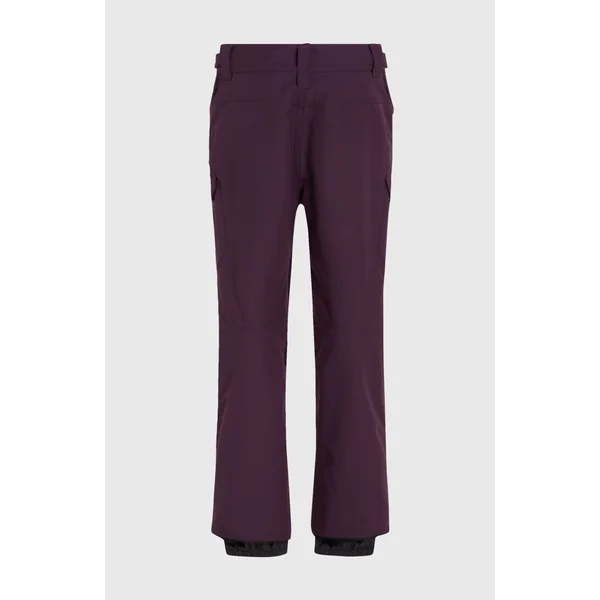 Pantalon de ski Utility Pro Regular | Aubergine