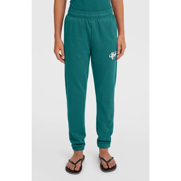Pantalon de survêtement Essentials Script | Botanical Heat